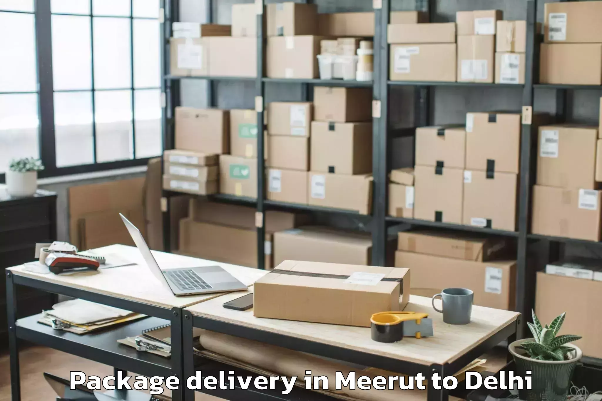 Top Meerut to Alipur Package Delivery Available